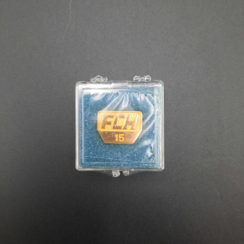 Fairmont Community Hospital‎ Foundation 15yr Employee Lapel Pin